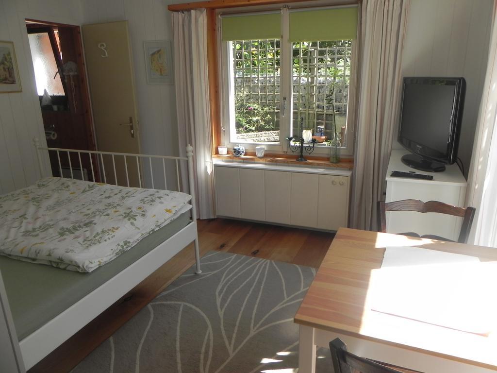 Der Morgenberg Apartment Darligen Ngoại thất bức ảnh
